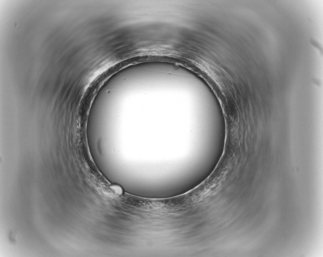 X0000093750971200710301121