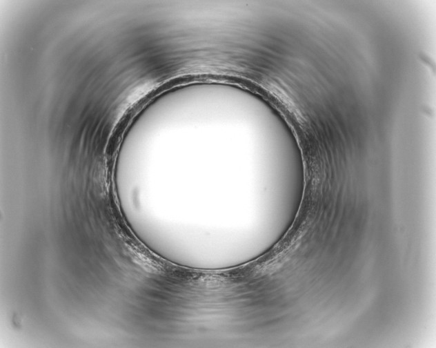 X0000093750974200710301121