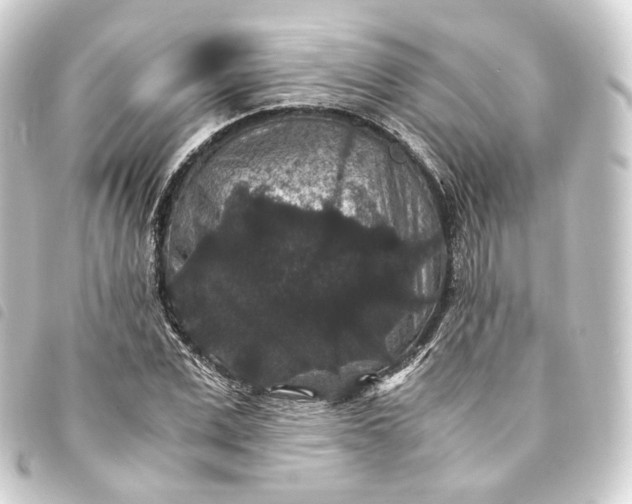 X0000093750975200710301121