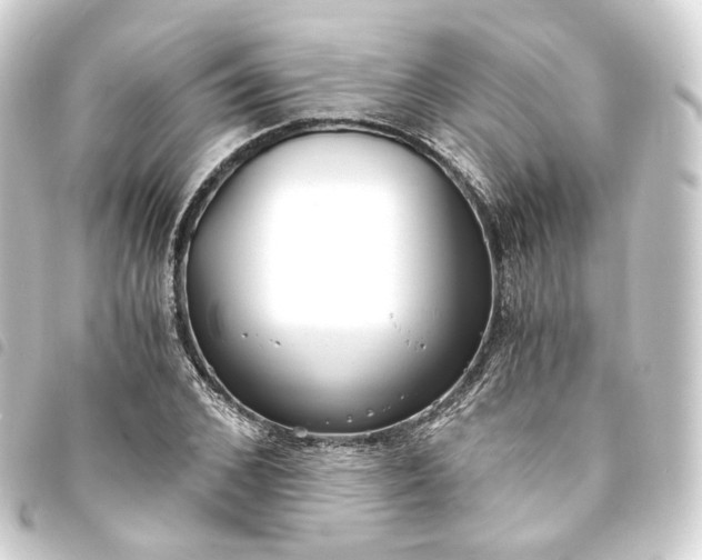 X0000093750976200710301121
