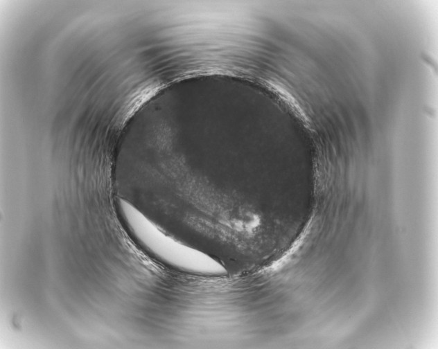 X0000093750977200710301121