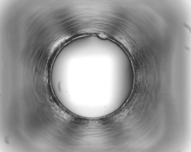 X0000093750979200710301121