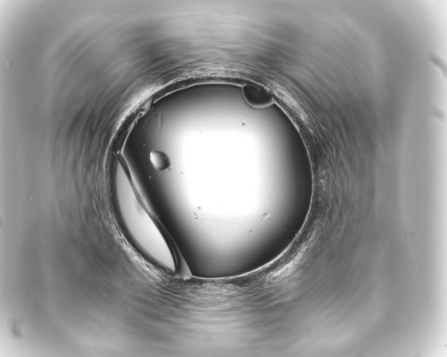 X0000093750981200710301121