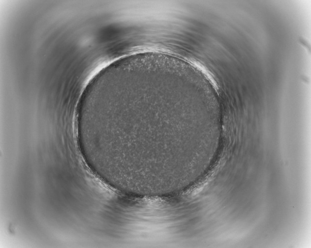 X0000093750983200710301121