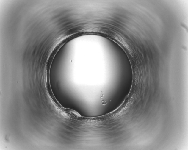 X0000093750984200710301121