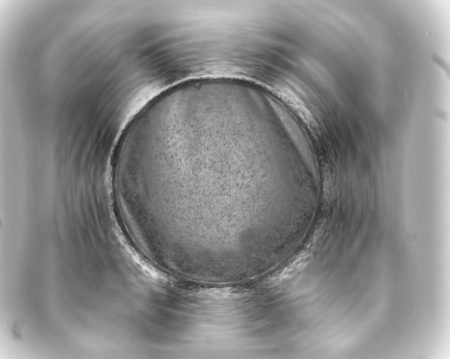 X0000093750990200710301121
