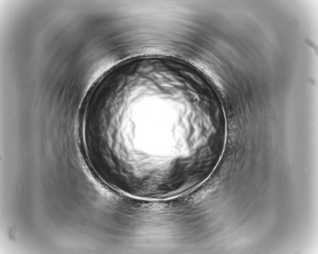 X0000093750991200710301121