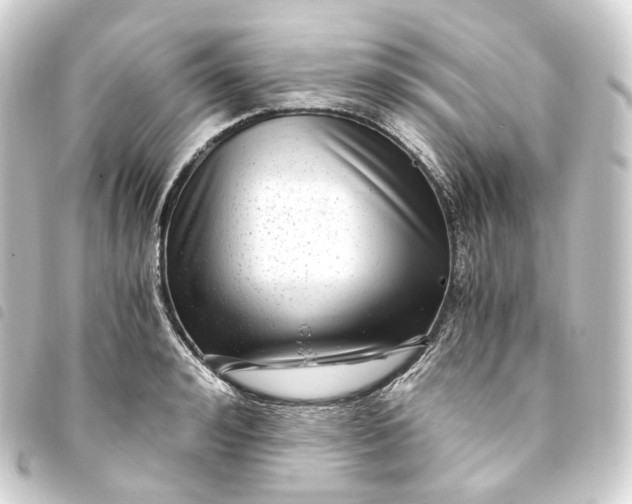 X0000093750992200710301121
