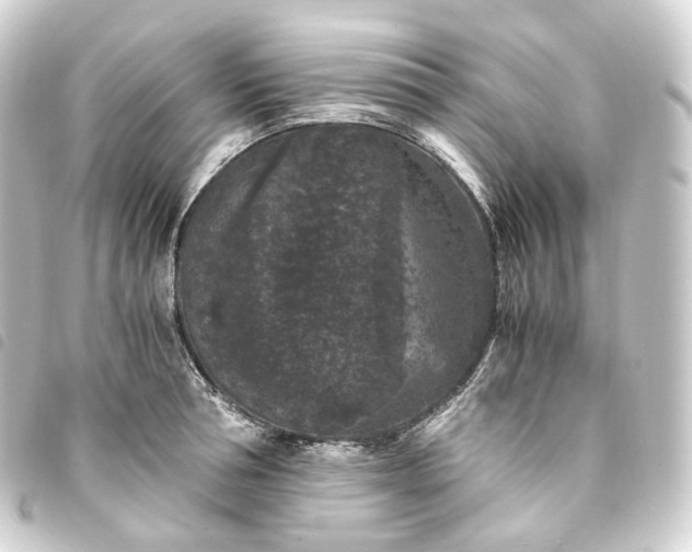 X0000093750994200710301121