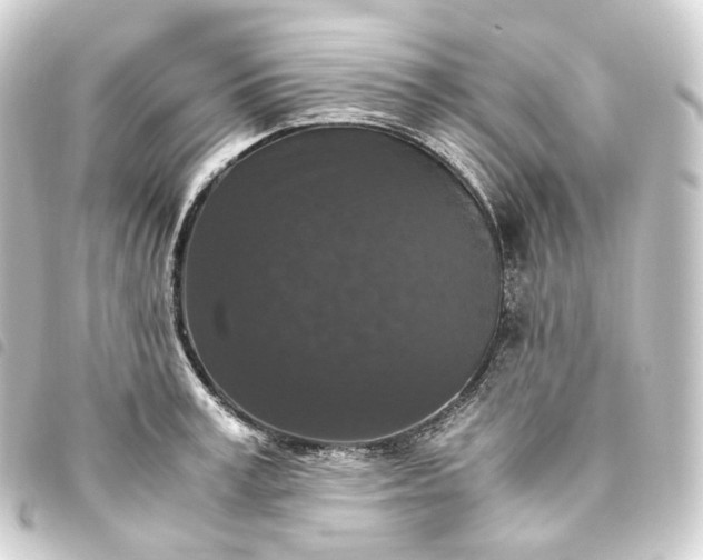 X0000093750995200710301121
