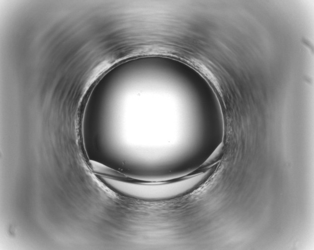 X0000093750997200710301121