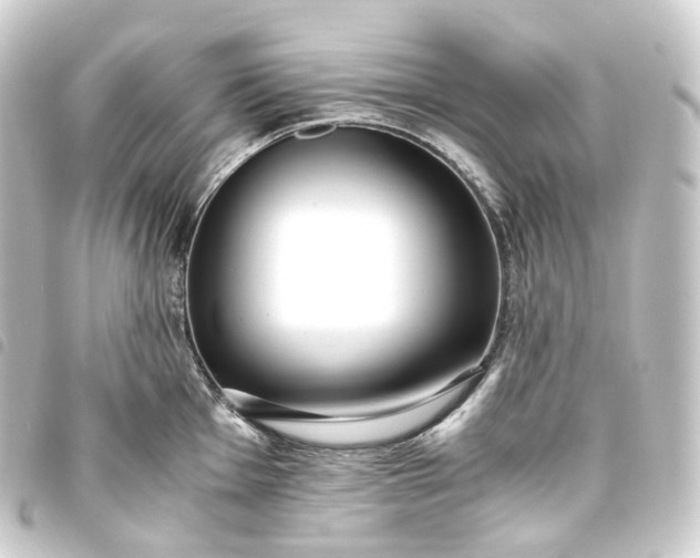 X0000093751001200710301121
