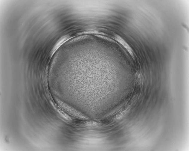 X0000093751002200710301121