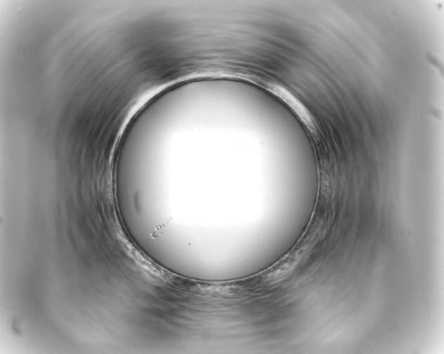 X0000093751004200710301121