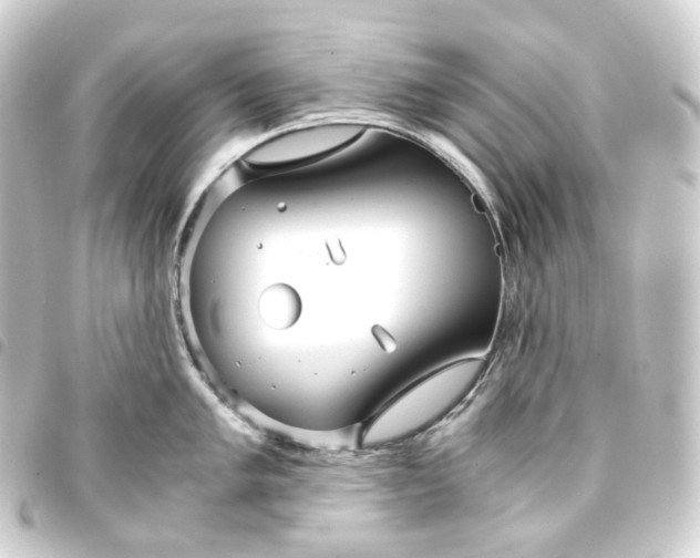 X0000093751005200710301121