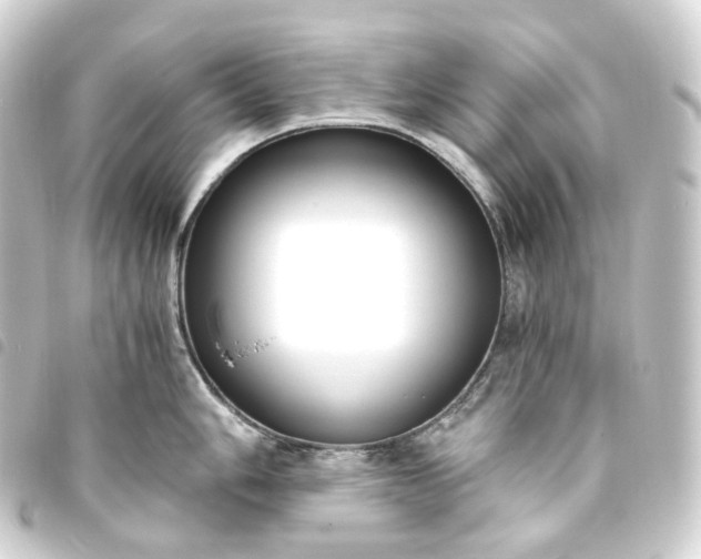 X0000093751006200710301121