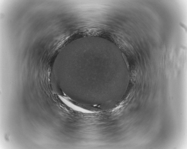 X0000093751010200710301120