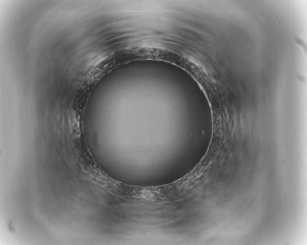 X0000093751013200710301120