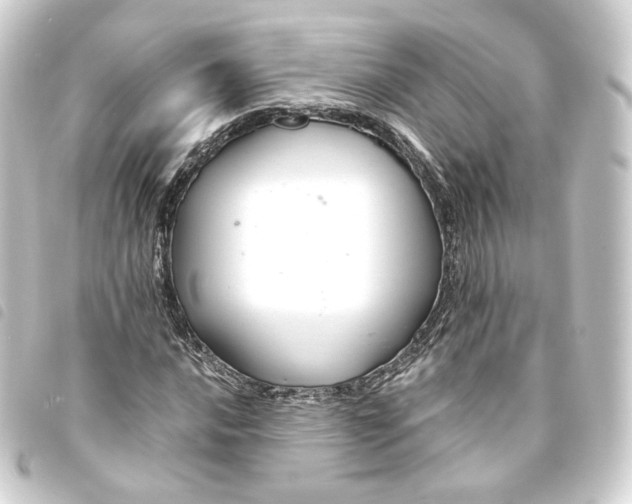X0000093751016200710301120