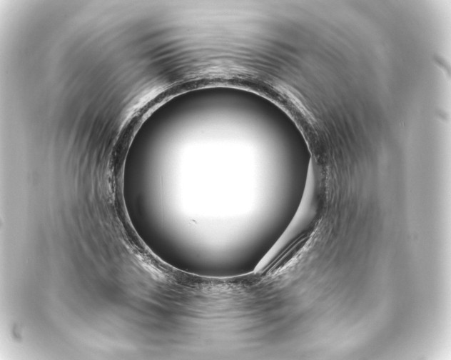 X0000093751018200710301120