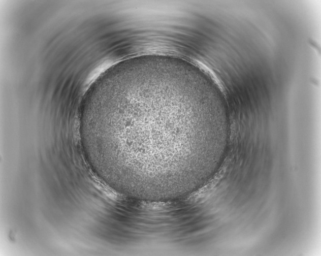 X0000093751019200710301120