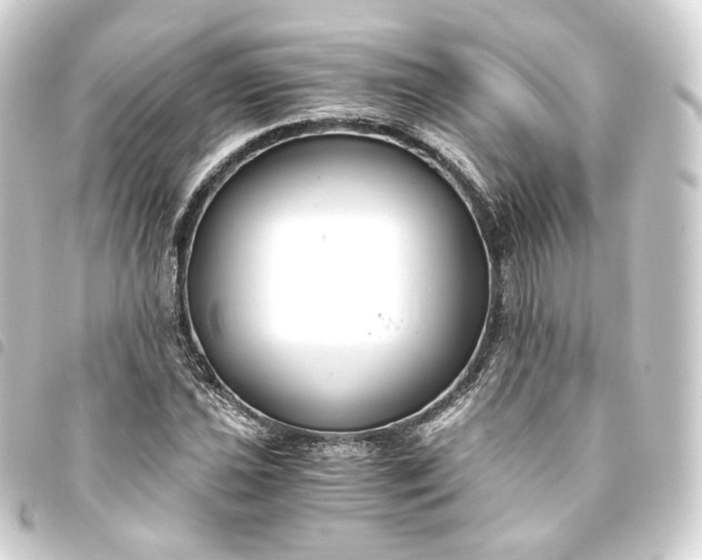 X0000093751021200710301120