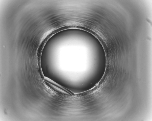 X0000093751022200710301120