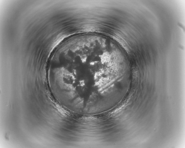 X0000093751023200710301120