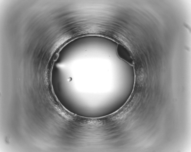 X0000093751026200710301120