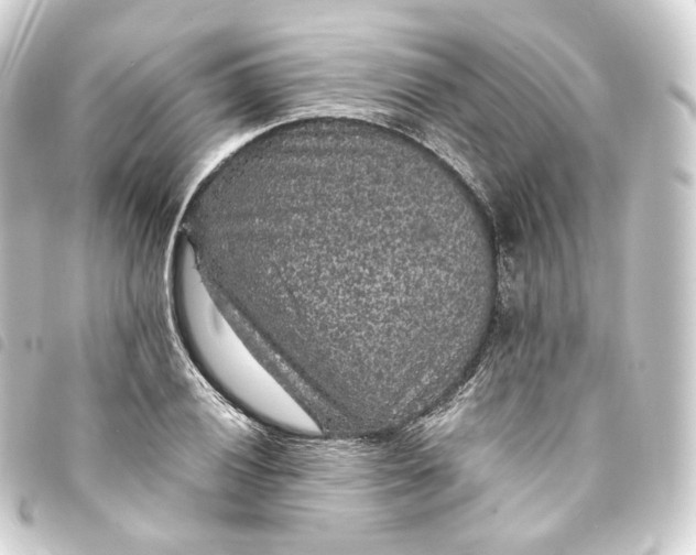 X0000093751028200710301120