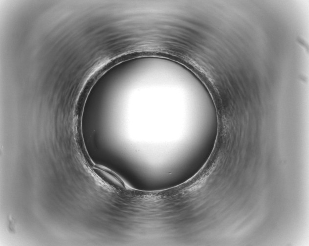 X0000093751029200710301120