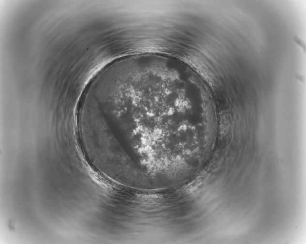 X0000093751031200710301120