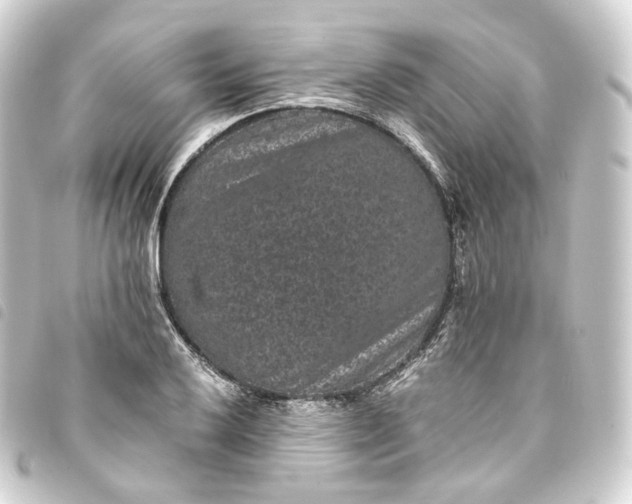 X0000093751032200710301120