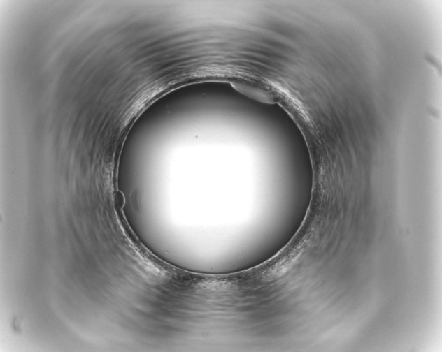 X0000093751033200710301120