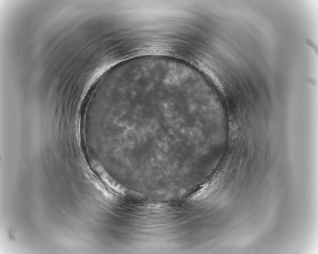 X0000093751035200710301120