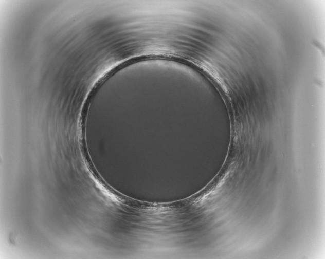 X0000093751037200710301120