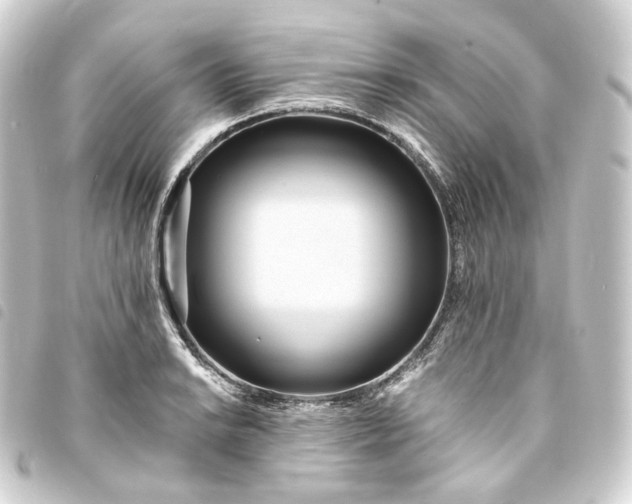 X0000093751038200710301120