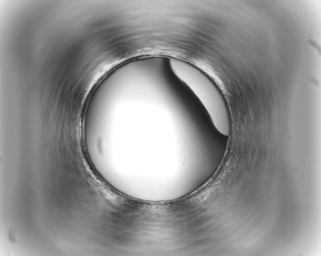 X0000093751040200710301121