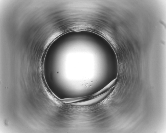 X0000093751042200710301121