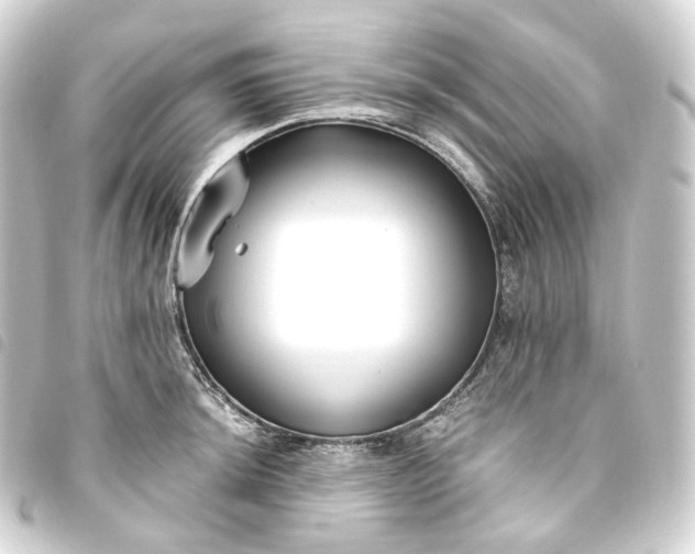 X0000093751044200710301121