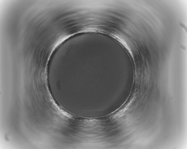 X0000093751045200710301121
