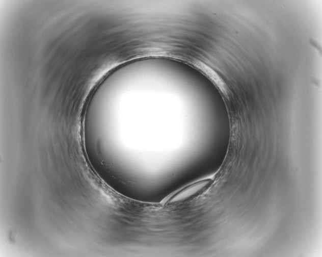 X0000093751051200710301121