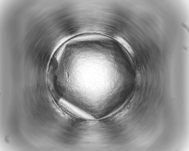 X0000093751052200710301121