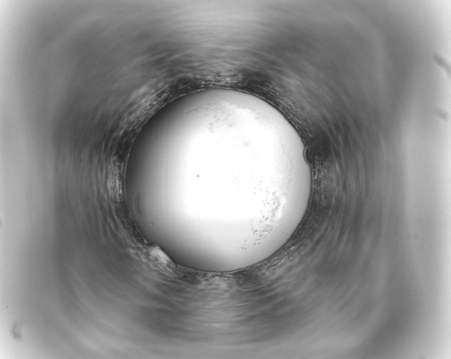 X0000093751058200710301120