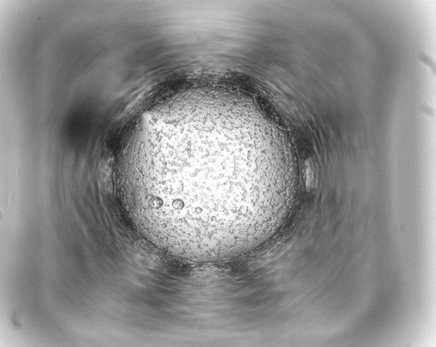 X0000093751059200710301120