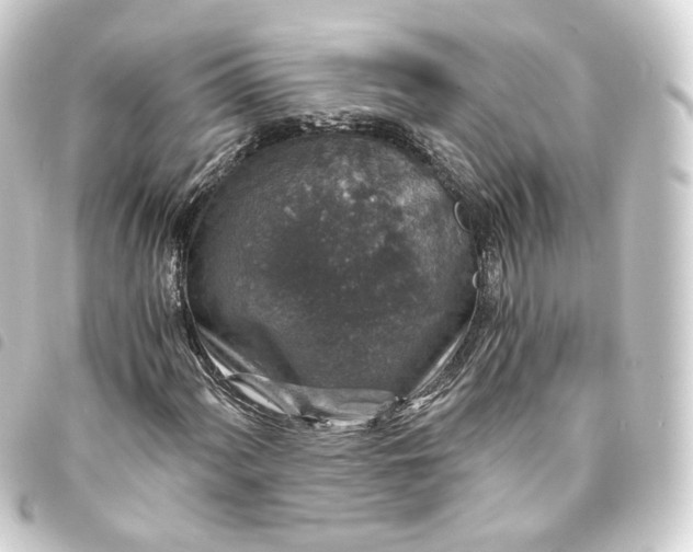 X0000093751060200710301120