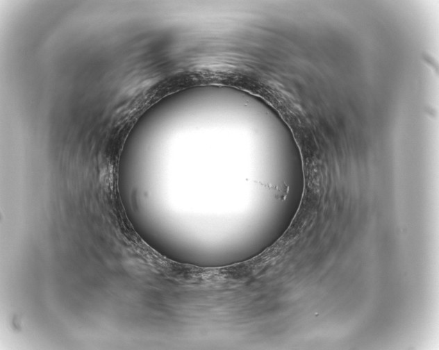 X0000093751061200710301120