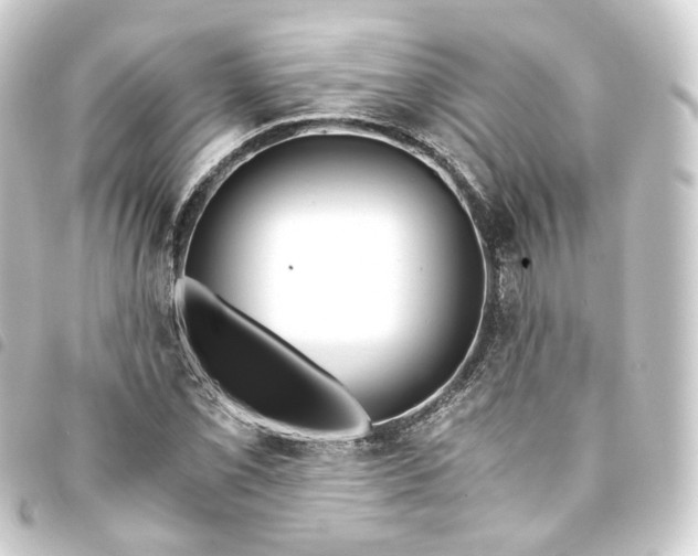 X0000093751069200710301120