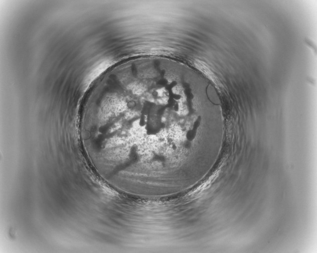 X0000093751071200710301120