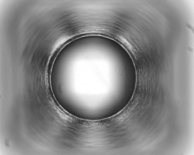 X0000093751072200710301120